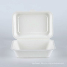 400 500 600 ml Biodegradable Sugarcane Fast Food Lunch Container Box